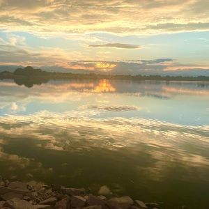 Meet your Posher, Phillip